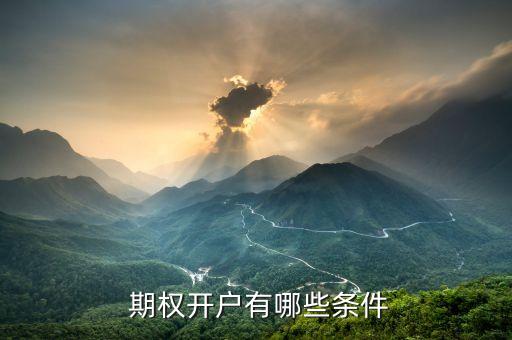  期權(quán)開(kāi)戶有哪些條件