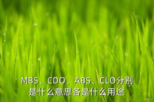 MBS、CDO、ABS、CLO分別是什么意思各是什么用途