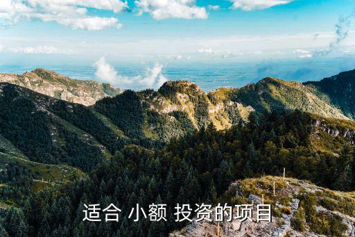 小額投資有哪些,農村小額投資有哪些好項目