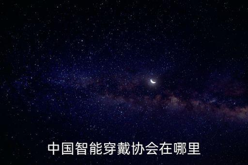 藍海國際控股有限公司,深圳中電藍?？毓捎邢薰靖笨偨?jīng)理