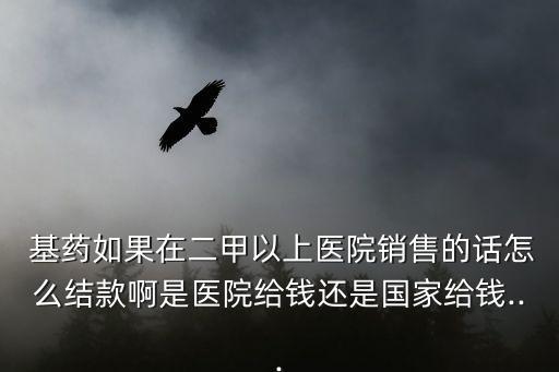  基藥如果在二甲以上醫(yī)院銷(xiāo)售的話(huà)怎么結(jié)款啊是醫(yī)院給錢(qián)還是國(guó)家給錢(qián)...