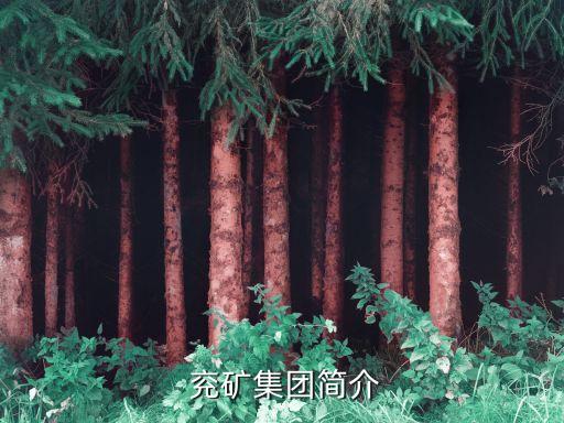  兗礦集團(tuán)簡(jiǎn)介