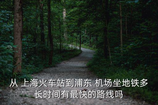 從 上?；疖囌镜狡謻| 機(jī)場(chǎng)坐地鐵多長(zhǎng)時(shí)間有最快的路線嗎