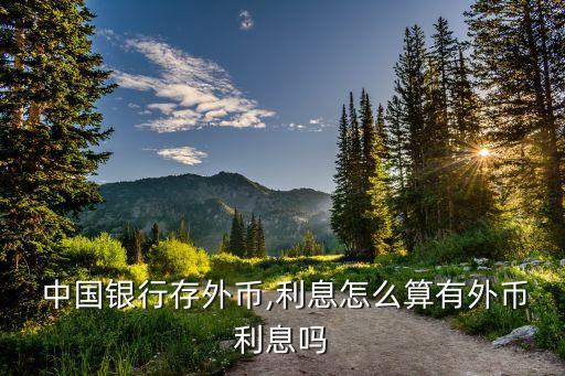  中國(guó)銀行存外幣,利息怎么算有外幣利息嗎