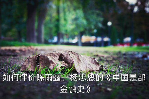 如何評價陳雨露、楊忠恕的《中國是部 金融史》