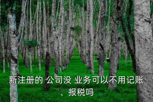 新注冊(cè)的 公司沒(méi) 業(yè)務(wù)可以不用記賬、報(bào)稅嗎
