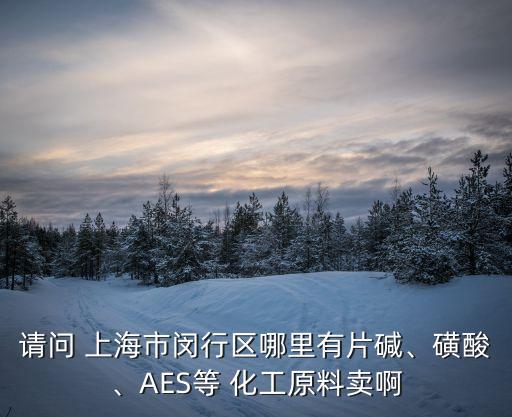 請問 上海市閔行區(qū)哪里有片堿、磺酸、AES等 化工原料賣啊