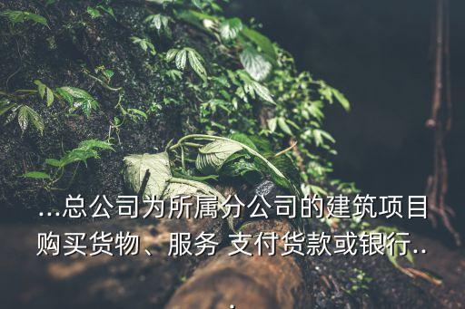 ...總公司為所屬分公司的建筑項(xiàng)目購(gòu)買(mǎi)貨物、服務(wù) 支付貨款或銀行...
