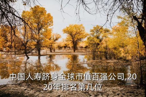 中國(guó)人壽躋身全球市值百?gòu)?qiáng)公司,2020年排名第幾位