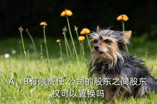 A、B有限責(zé)任 公司的股東之間股東權(quán)可以置換嗎