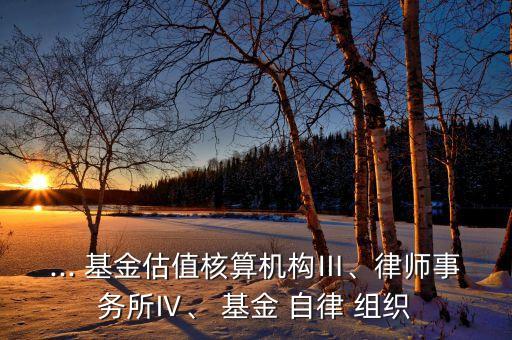 ... 基金估值核算機(jī)構(gòu)Ⅲ、律師事務(wù)所Ⅳ、 基金 自律 組織