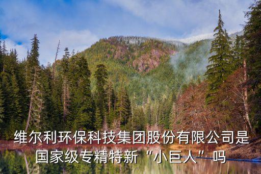  維爾利環(huán)?？萍技瘓F(tuán)股份有限公司是國家級專精特新“小巨人”嗎
