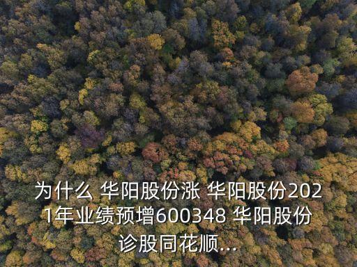 華陽集團股權結(jié)構,騰訊集團的股權結(jié)構