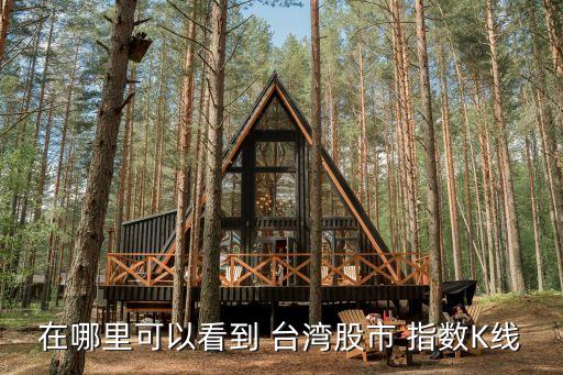 在哪里可以看到 臺(tái)灣股市 指數(shù)K線(xiàn)