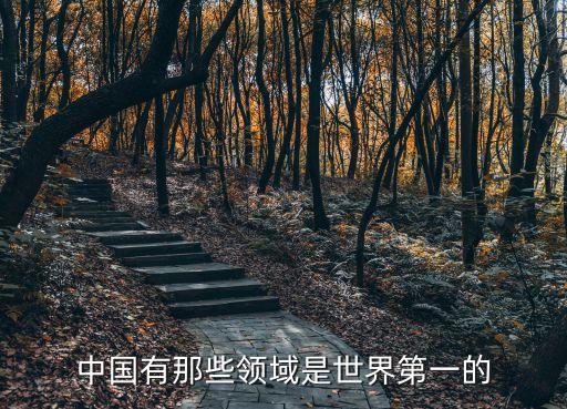 中國有那些領域是世界第一的