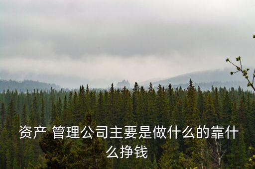  資產 管理公司主要是做什么的靠什么掙錢