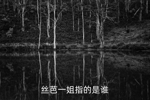 華人文化產業(yè)投資基金相關的股票,幕后投資者是中國華人文化產業(yè)投資基金