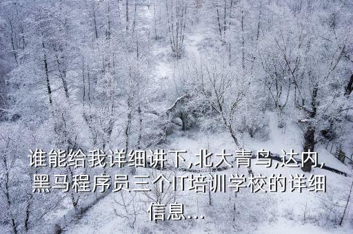 誰(shuí)能給我詳細(xì)講下,北大青鳥,達(dá)內(nèi), 黑馬程序員三個(gè)IT培訓(xùn)學(xué)校的詳細(xì)信息...