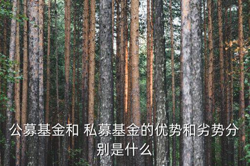 公募基金和 私募基金的優(yōu)勢和劣勢分別是什么