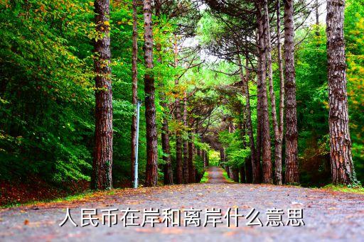 中國貨幣當(dāng)局,貨幣當(dāng)局的資產(chǎn)負債表