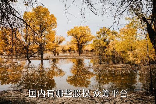 國內(nèi)有哪些股權 眾籌平臺