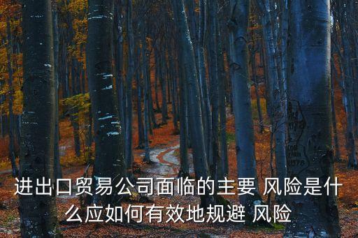 跨國公司進入其他國家的風(fēng)險案例