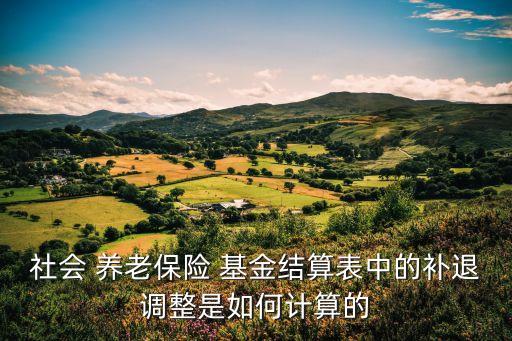 社會 養(yǎng)老保險 基金結(jié)算表中的補退調(diào)整是如何計算的