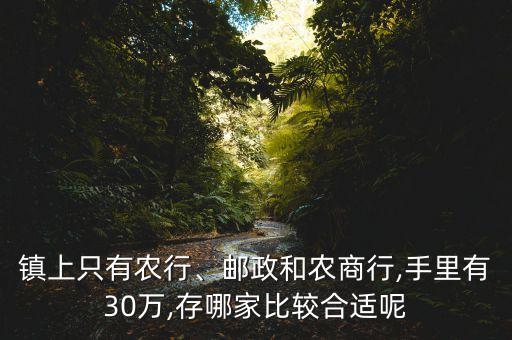 鎮(zhèn)上只有農(nóng)行、郵政和農(nóng)商行,手里有30萬,存哪家比較合適呢
