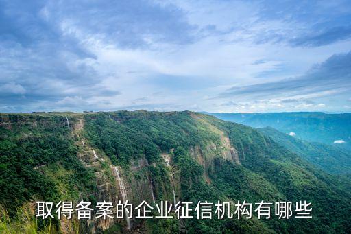 浙江新中天信用評(píng)估咨詢(xún)有限公司