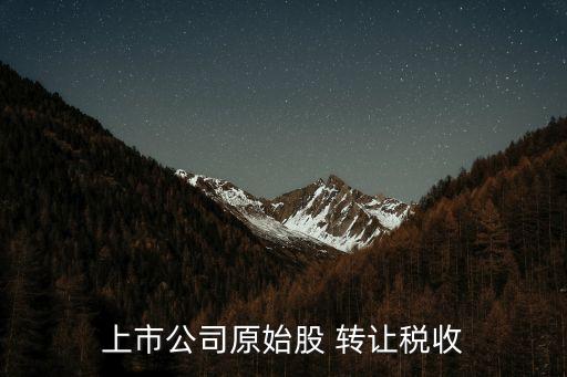 轉讓股票是否繳納營業(yè)稅,納稅人轉讓專利權繳納營業(yè)稅