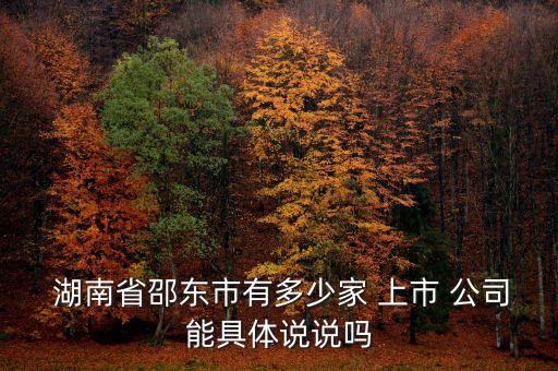  湖南省邵東市有多少家 上市 公司能具體說(shuō)說(shuō)嗎