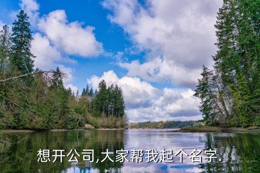 想開(kāi)公司,大家?guī)臀移饌€(gè)名字.