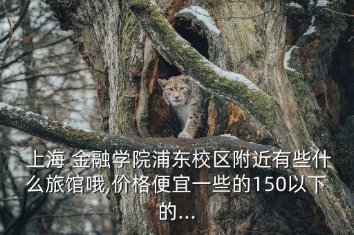  上海 金融學(xué)院浦東校區(qū)附近有些什么旅館哦,價(jià)格便宜一些的150以下的...