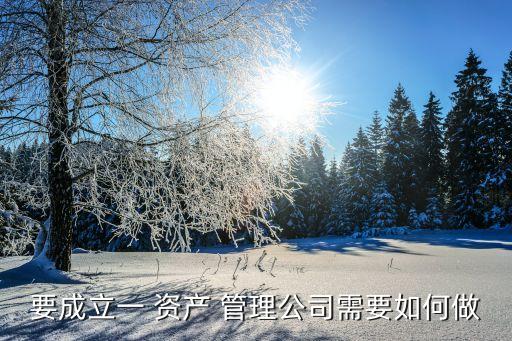 要成立一 資產 管理公司需要如何做