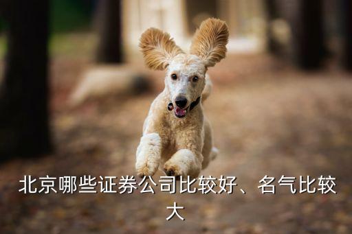  北京哪些證券公司比較好、名氣比較大