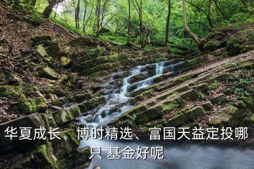 華夏成長、博時精選、富國天益定投哪只 基金好呢