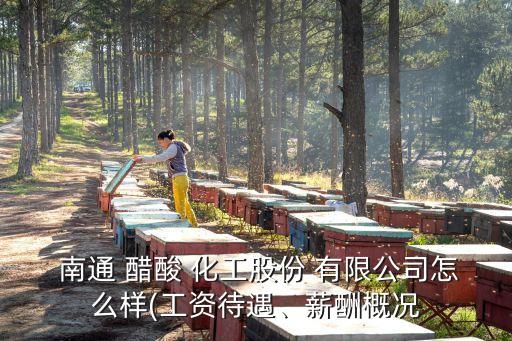  南通 醋酸 化工股份 有限公司怎么樣(工資待遇、薪酬概況