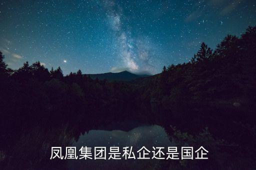  鳳凰集團(tuán)是私企還是國企