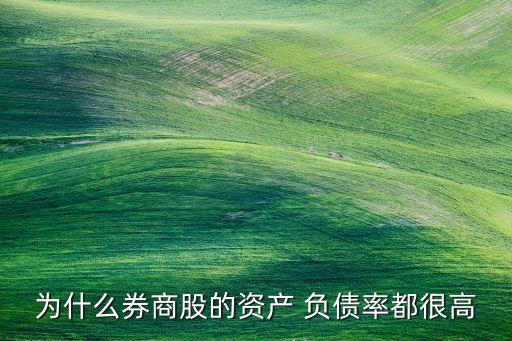 為什么券商股的資產 負債率都很高
