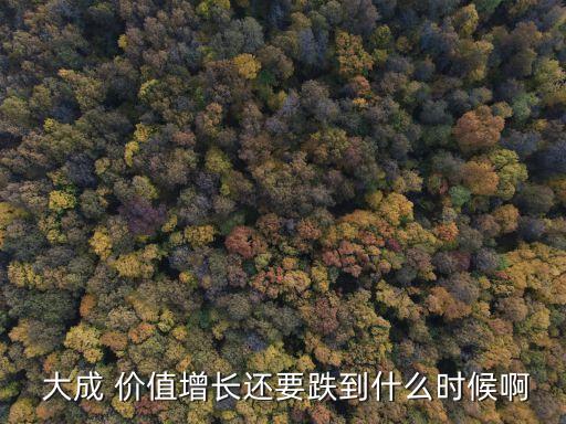  大成 價(jià)值增長還要跌到什么時(shí)候啊
