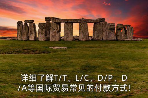 詳細了解T/T、L/C、D/P、D/A等國際貿(mào)易常見的付款方式!