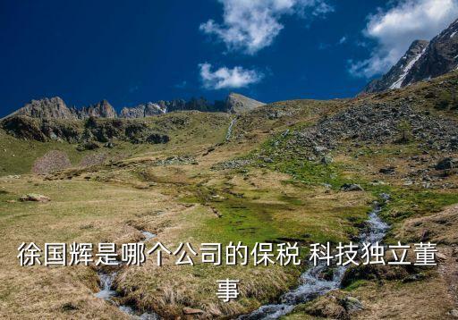 徐國輝是哪個公司的保稅 科技獨(dú)立董事