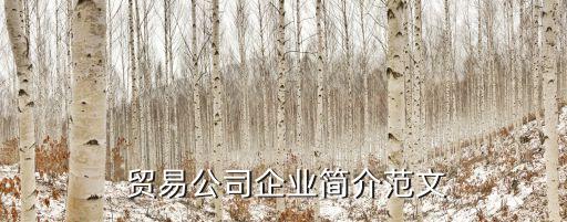 大連保稅區(qū)隆博國際貿易有限公司簡介