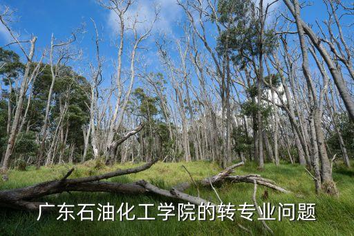 廣東石油化工學院的轉(zhuǎn)專業(yè)問題