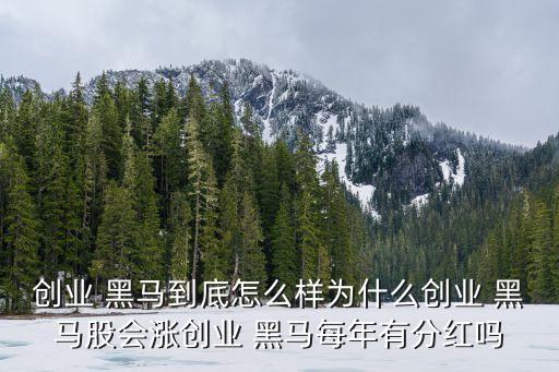 黑馬投資學(xué)院報名
