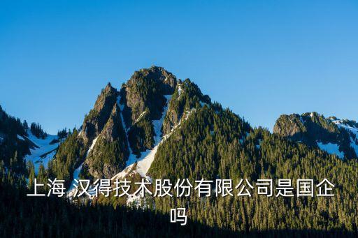 上海 漢得技術(shù)股份有限公司是國(guó)企嗎