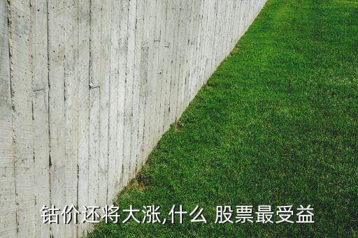 鈷價還將大漲,什么 股票最受益