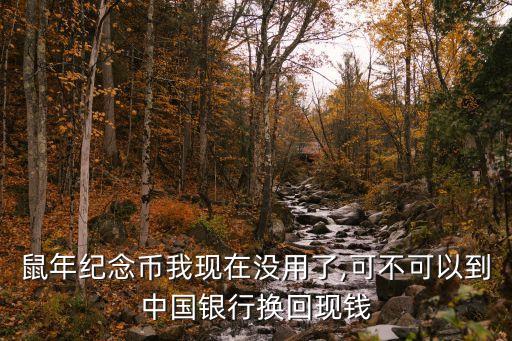 鼠年紀(jì)念幣我現(xiàn)在沒(méi)用了,可不可以到中國(guó)銀行換回現(xiàn)錢