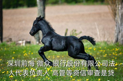 深圳前海 微眾 銀行股份有限公司法人代表負責人 高管等資信審查是貸