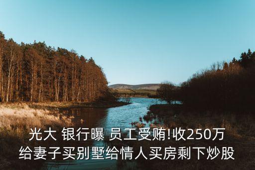 光大 銀行曝 員工受賄!收250萬(wàn)給妻子買(mǎi)別墅給情人買(mǎi)房剩下炒股